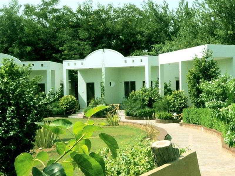 The Pugmark, A Wildlife Resort Saváj Madhopur Kültér fotó